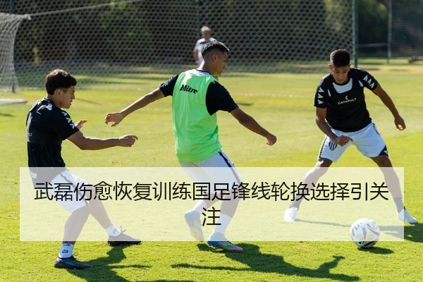 武磊伤愈恢复训练国足锋线轮换选择引关注 - bonesports